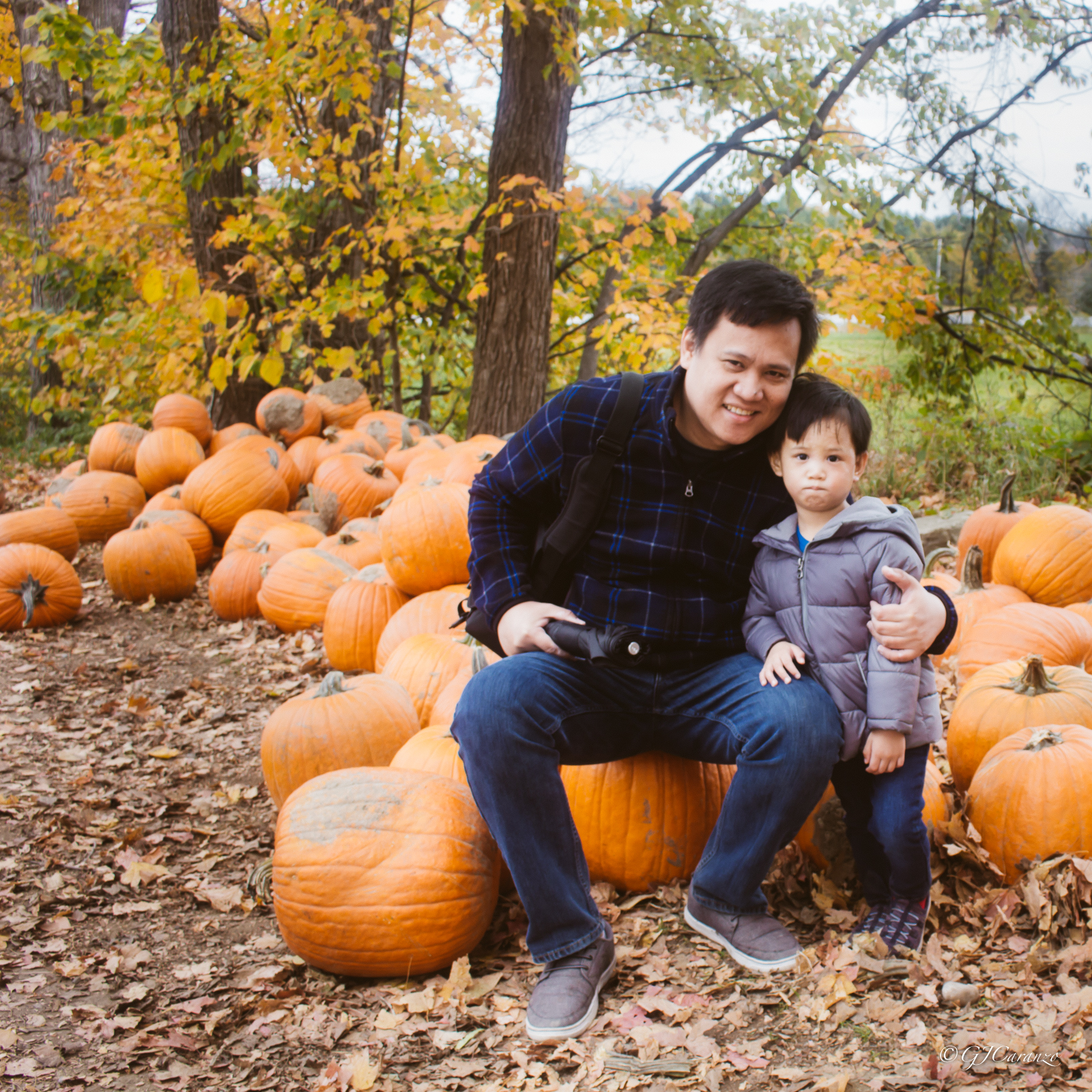 Things To Do in Ottawa, Ontario in Fall