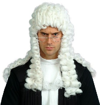 judge.jpeg