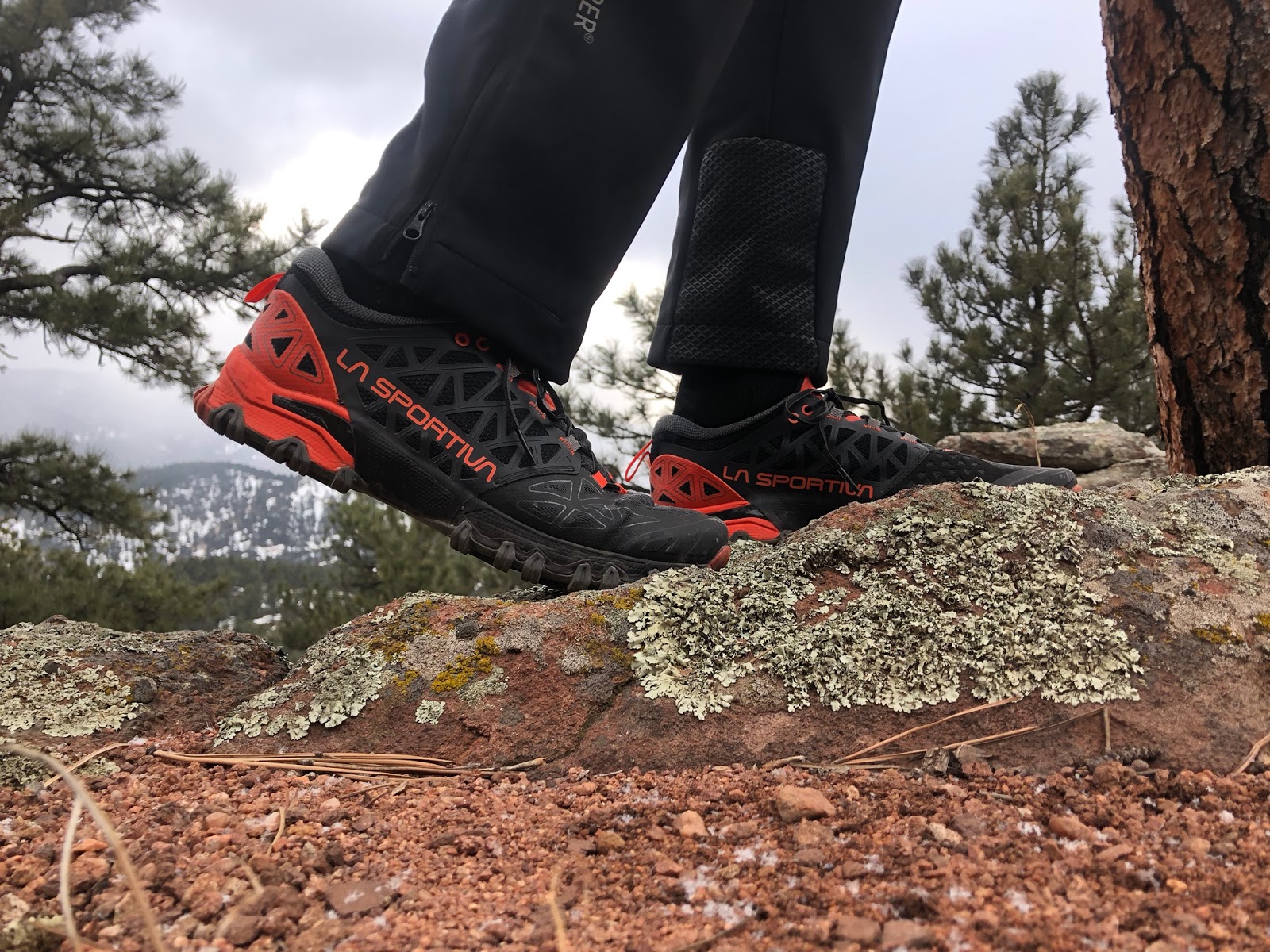 Road Trail La Sportiva Bushido Review- Totally Confidence Inspiring. Now with More Cushion and