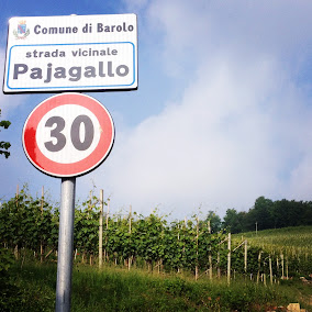 Pajagallo Cru