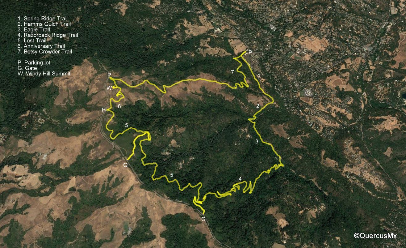 Lost Hikers Excursiones in Windy Hill Open Space Preserve