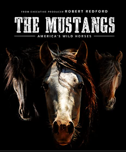 DOCUFILM: I MUSTANGS, BY ROBERTO REDFORD