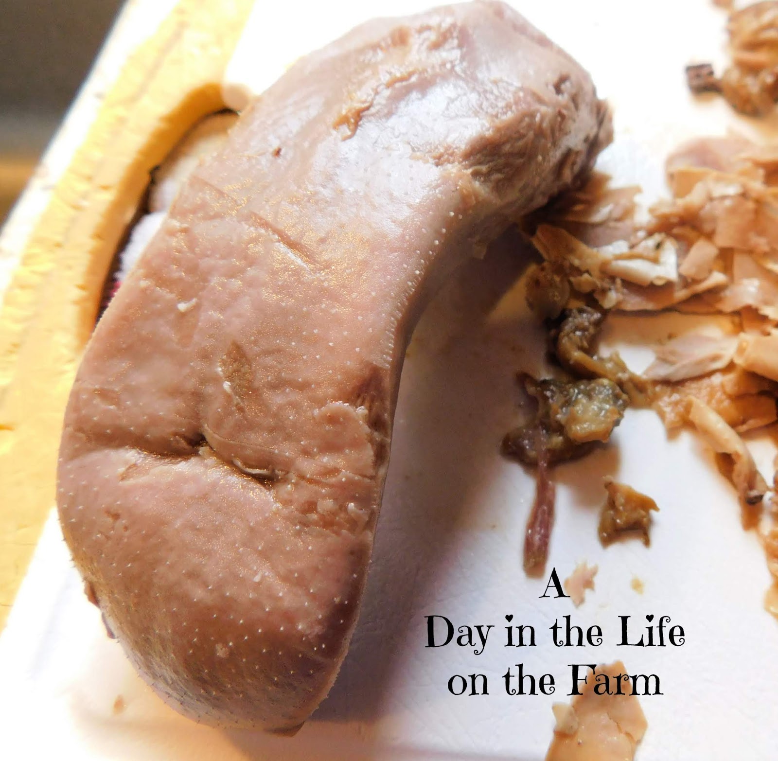 A Day in the Life on the Farm Pickled Pork Tongue InternationalPickleWeek