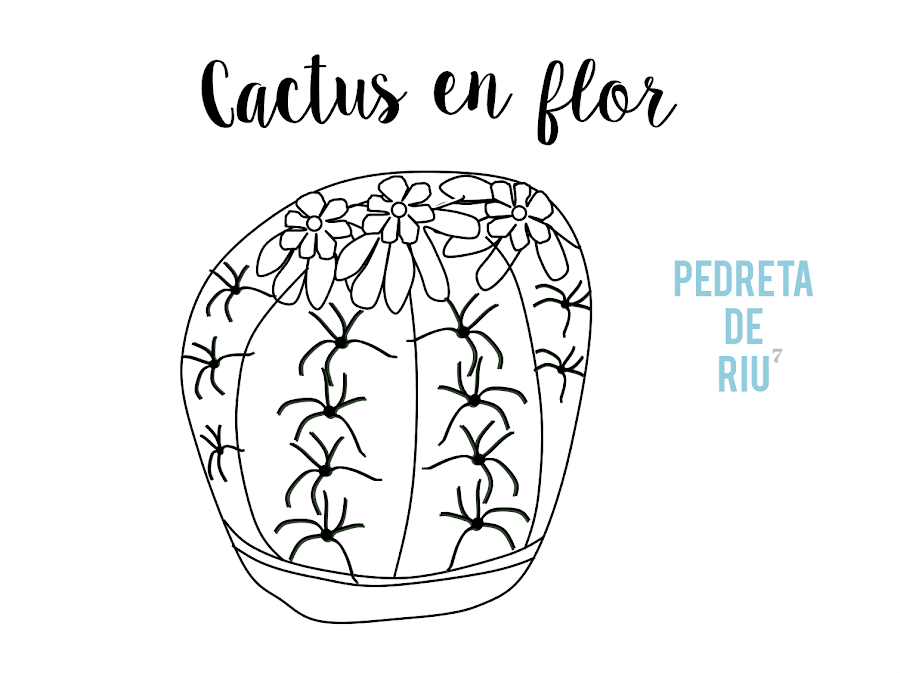 COMO PINTAR PIEDRAS CON CACTUS EN FLOR