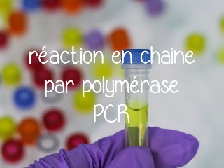 PCR Réaction en chaîne par polymérase