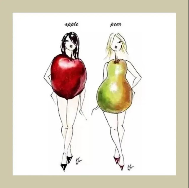 an Apple-Shaped Body and a Pear-Shaped Body.