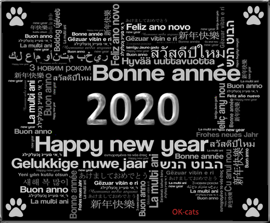 Cat GIF • Happy New Year π 2020 to all Cat π lovers and their Cats π and Kitties πΊ all over the World (3 of 10) Cat GIF • Happy New Year π 2020 to all Cat π lovers and their Cats π and Kitties πΊ all over the World (3 of 10)