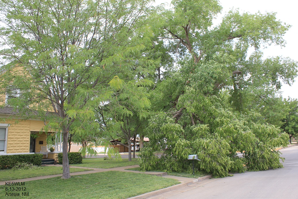 TStorm Winds Damage Trees In Artesia, NM Last Night. 8122012.