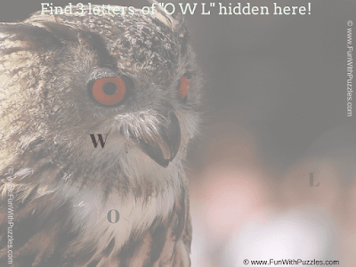 Answer of Find the Hidden Letters (O W L) Quiz