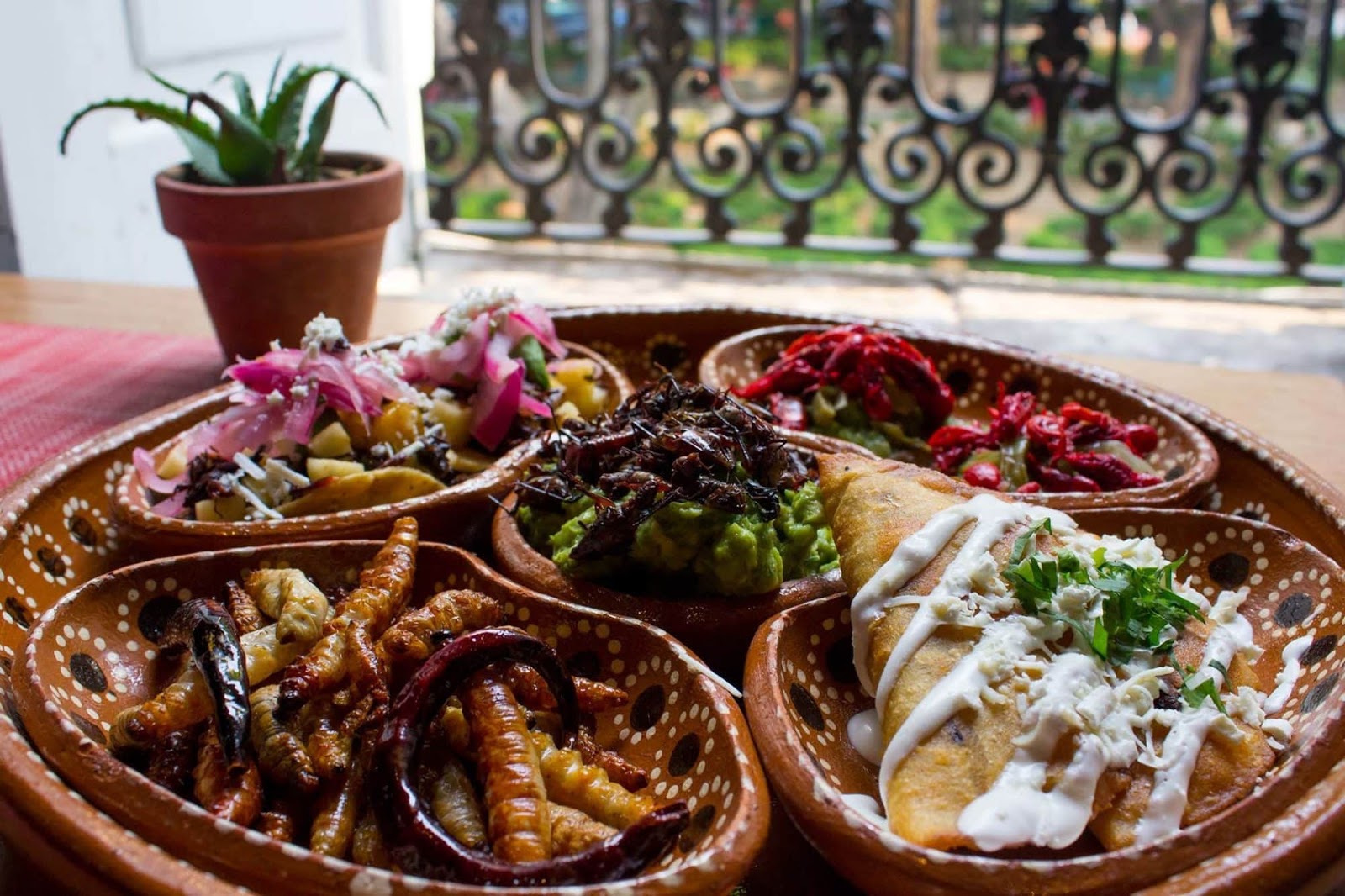 gastronomia de oaxaca