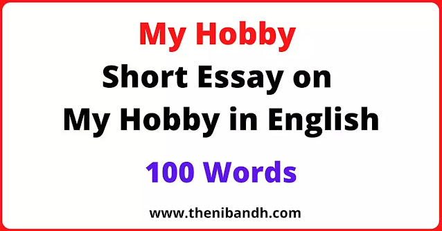 my hobby essay in english 500 words