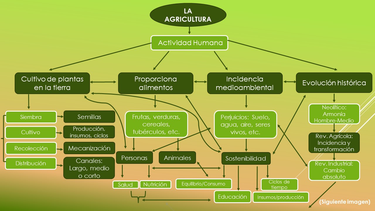 Mapa Conceptual De La Agricultura En Colombia serwer2311392.home.pl
