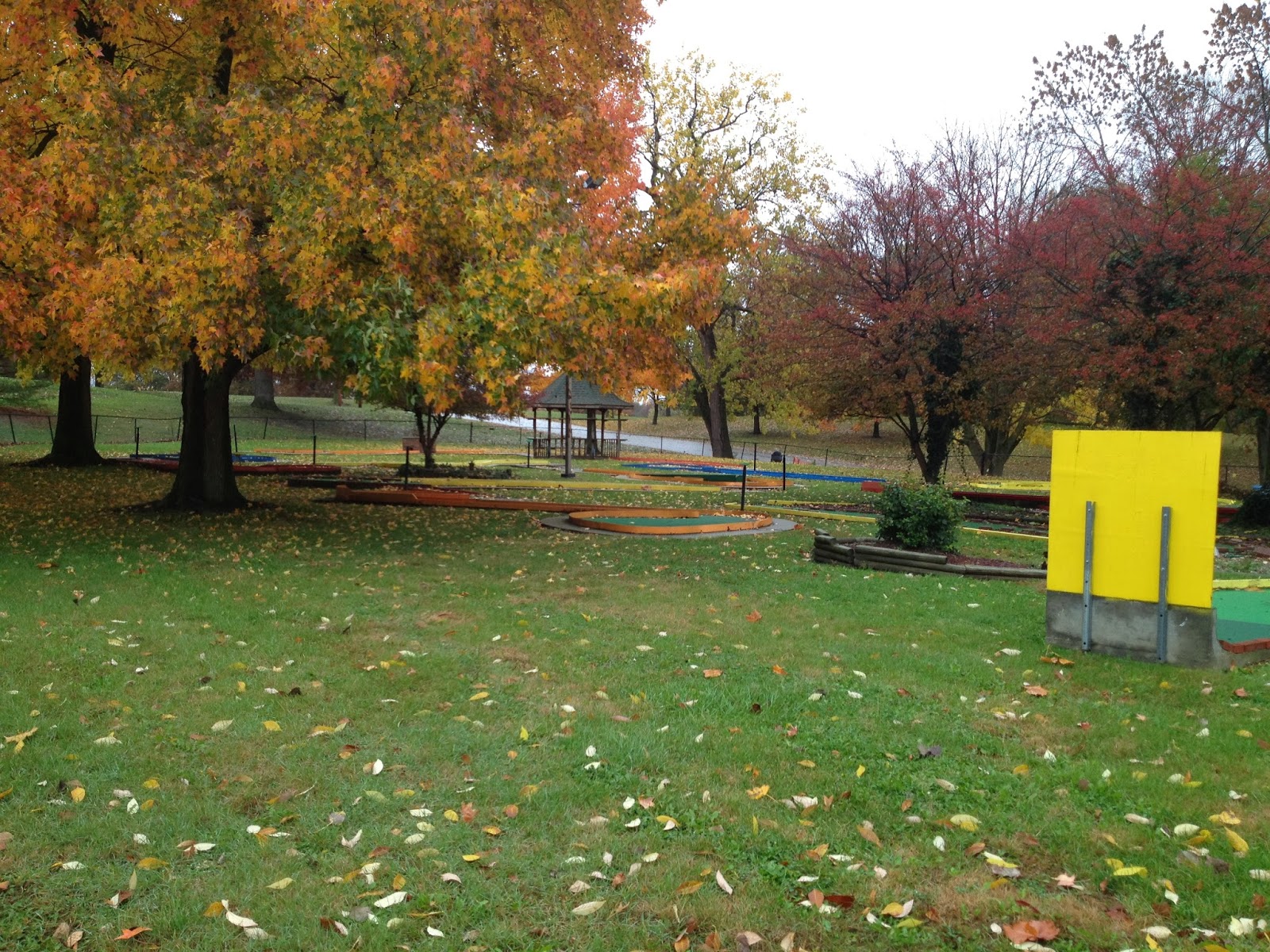 Nelson Park Fall 2013