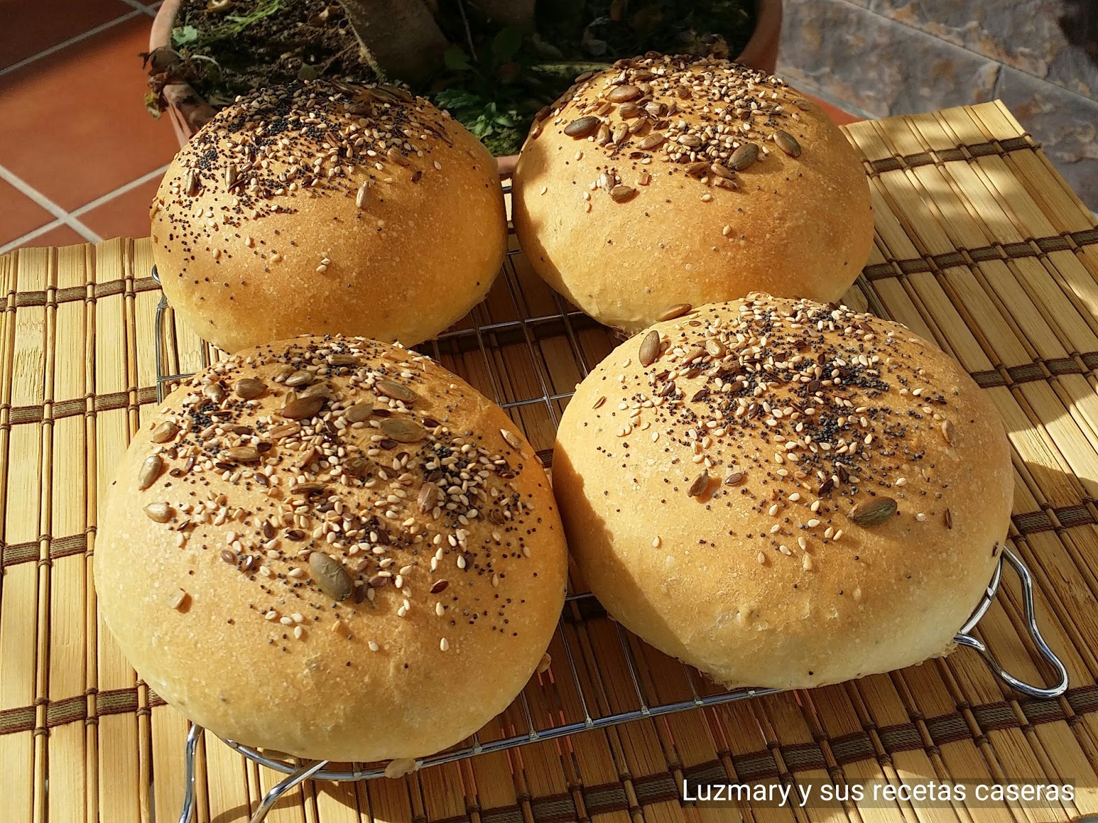 pan con amasadora domestica
