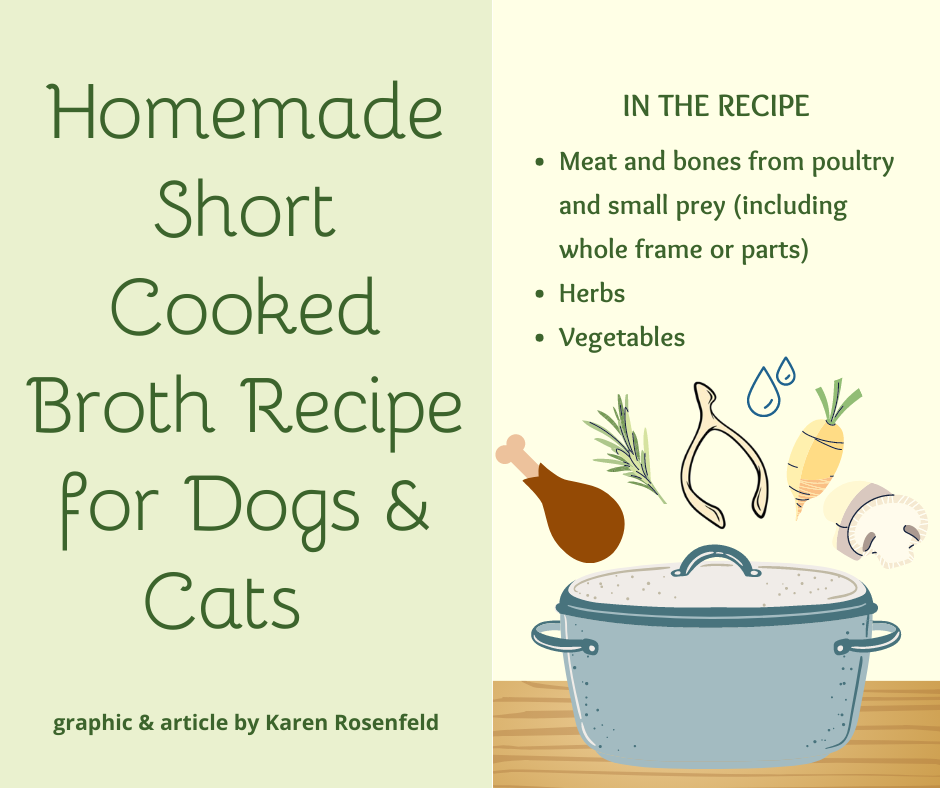 Homemade Short Cooked Broth Recipe for Dogs and Cats