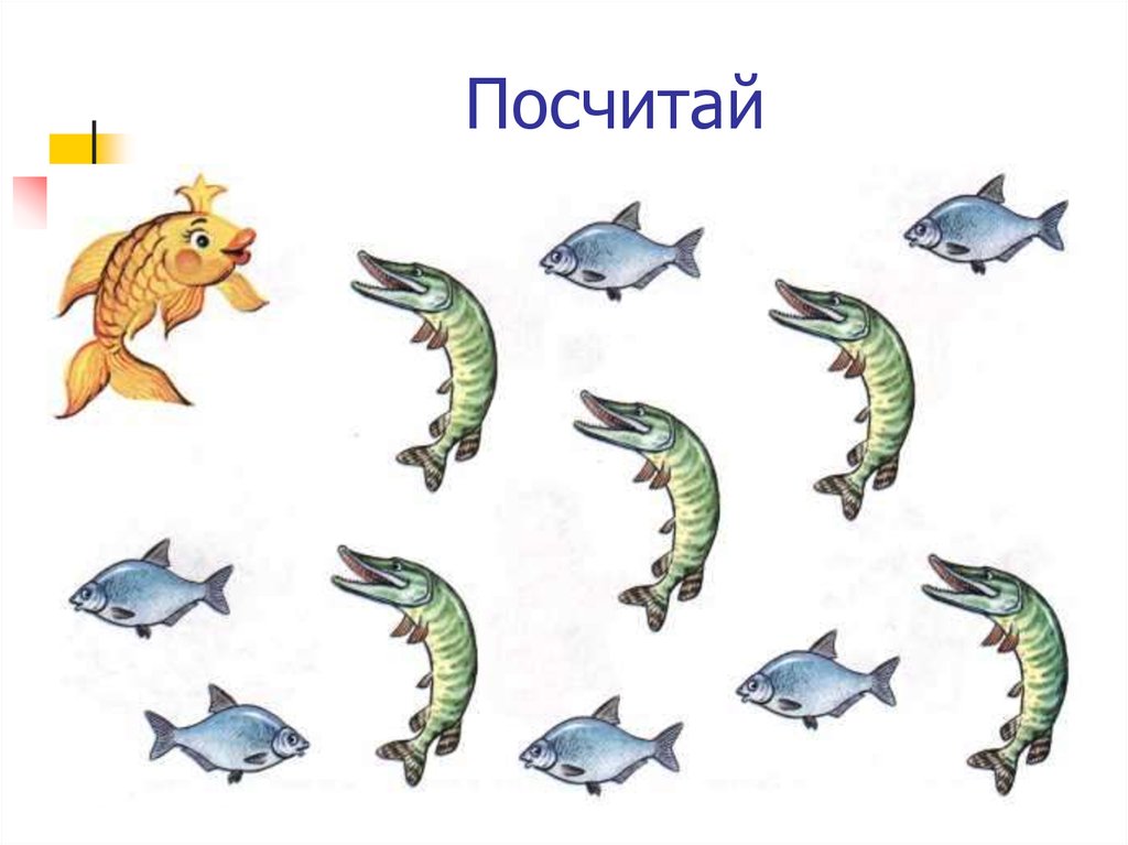 Звук щ предложения. Логопедическая игра рыбки. Картинки со звуком щ для детей. Сосчитай рыбок. Рыбы задания для детей.