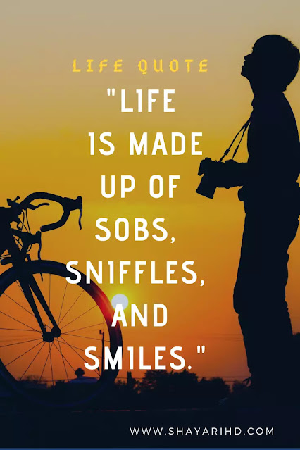 25 Inspirational Quotes About Life And Struggles 25 Inspirational Quotes About Life And Struggles