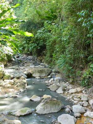 Diamond Botanical Gardens stream Soufriere St. Lucia by garden muses-not another Toronto gardening blog Diamond Botanical Gardens stream Soufriere St. Lucia by garden muses-not another Toronto gardening blog