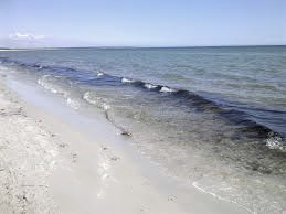 description of a busy beach