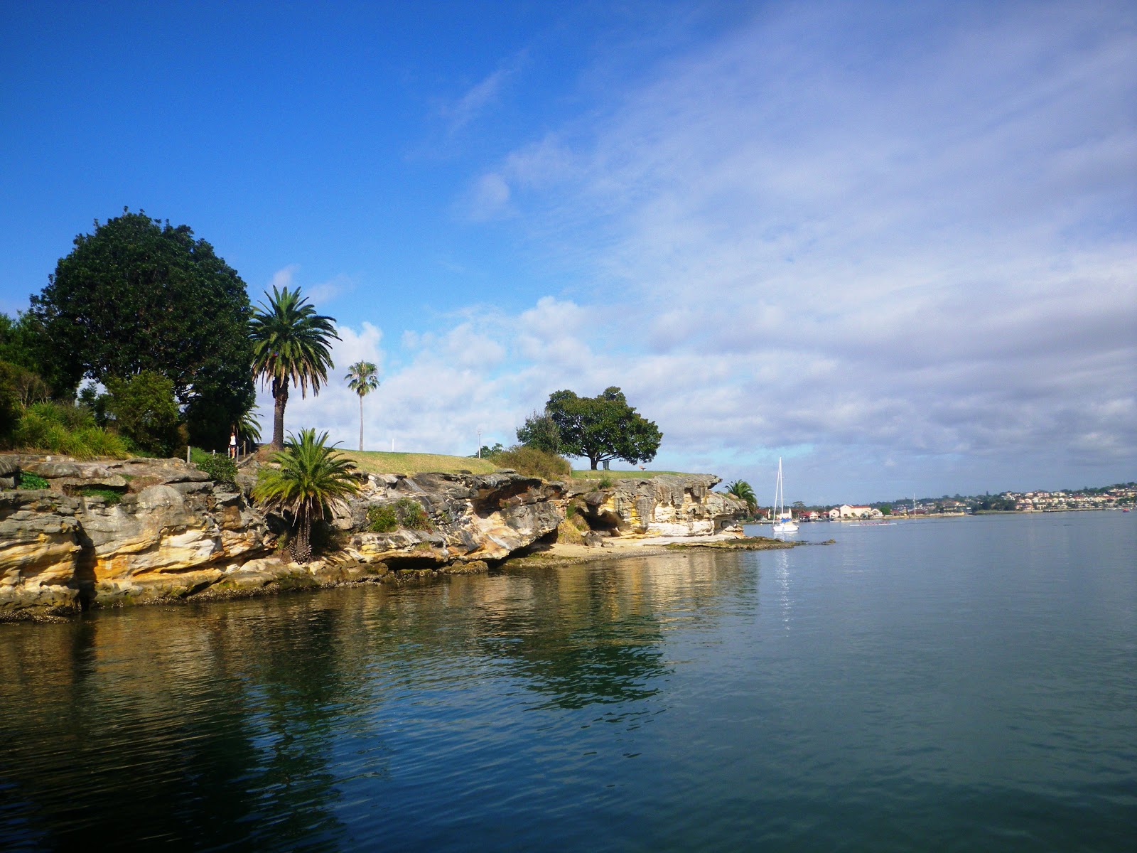 Swimming pool stories: Another day in paradise at Balmain's Dawn Fraser 
