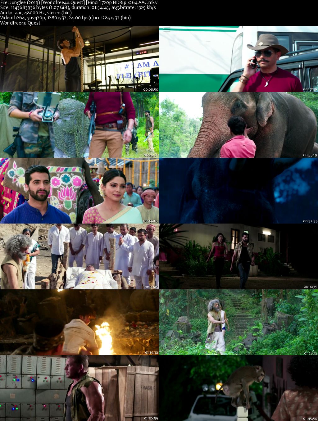 Junglee 2019 Hindi Movie Download || HDRip 720p
