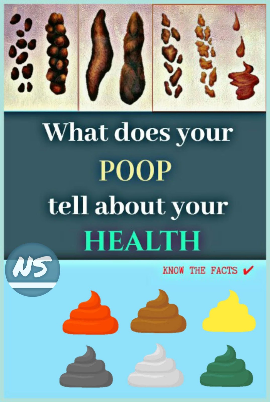 Natural solutions 2.0 WHAT DOES THE COLOUR AND TEXTURE OF YOUR POOP