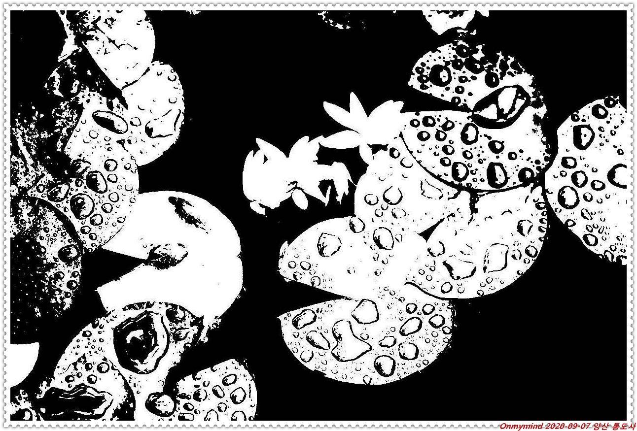 양산 통도사 양산 통도사