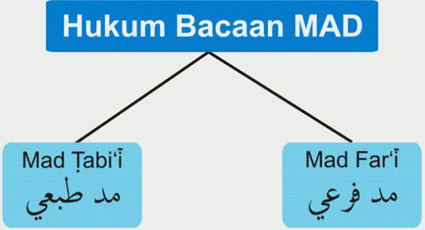 Contoh Contoh 15 Macam Hukum Tajwid Bacaan Mad Secara Lengkap Tipstriksib