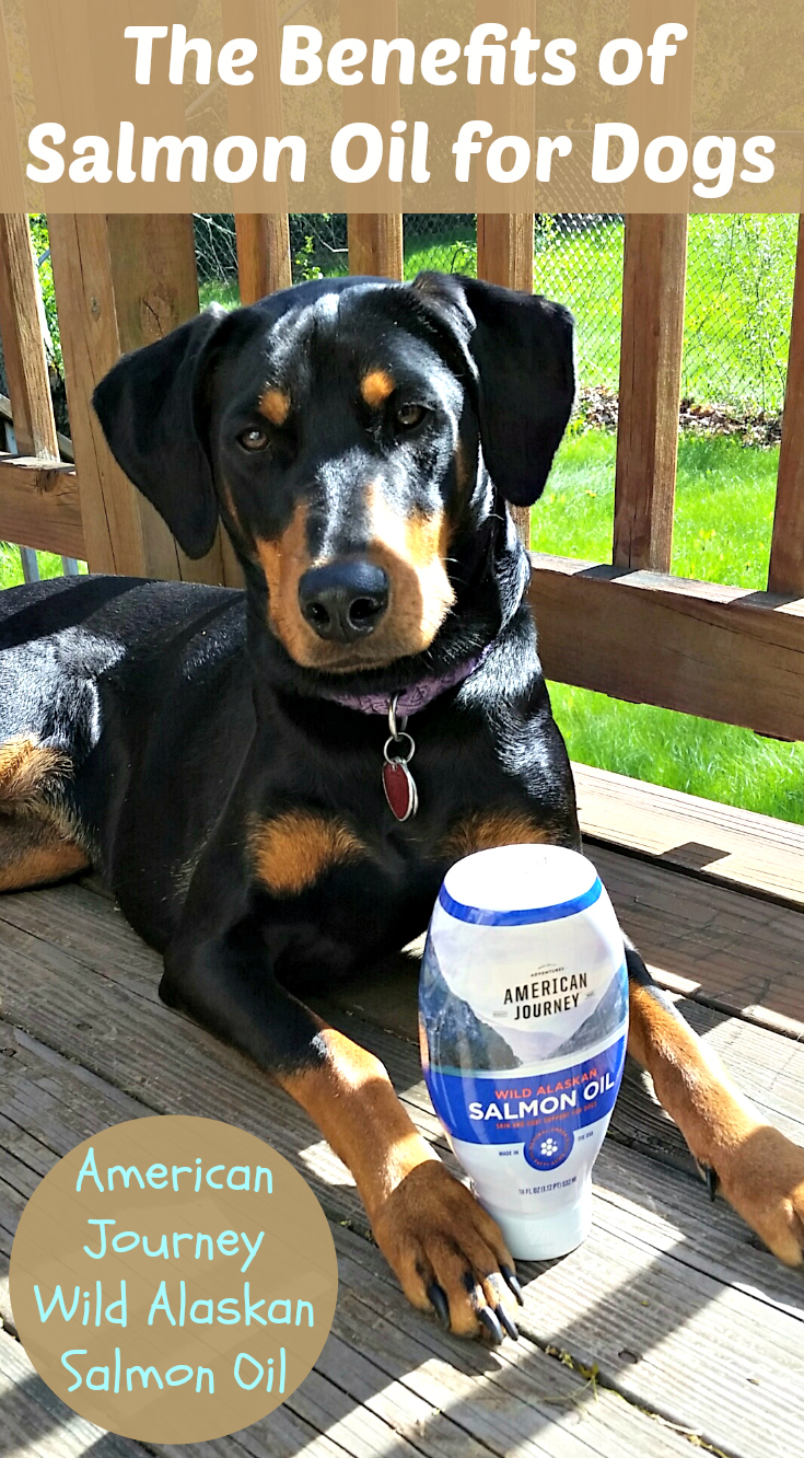 Lapdog Creations American Journey Salmon Oil ChewyInfluencer
