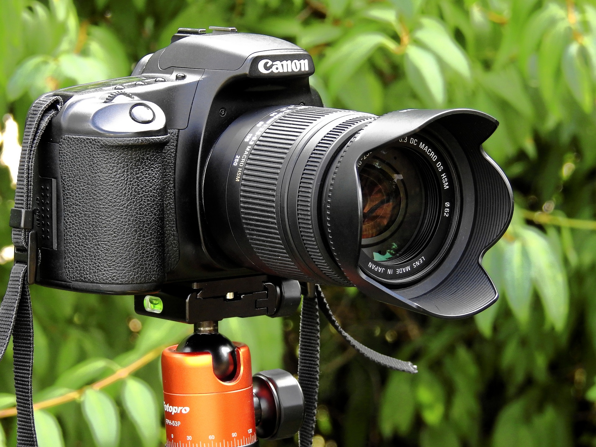 Mengenal Cara Kerja Dual Kamera pada Ponsel: Menikmati Fitur Fotografi ...