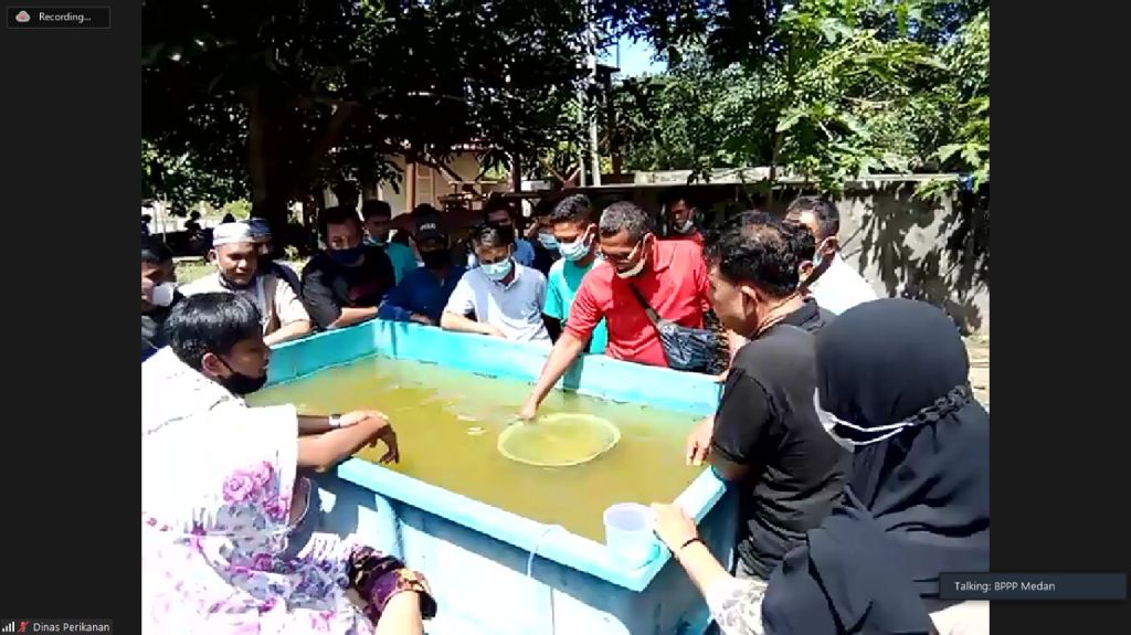 KKP Gelar Budidaya Ikan Lele kabupaten Prabumulih Sumatera Selatan