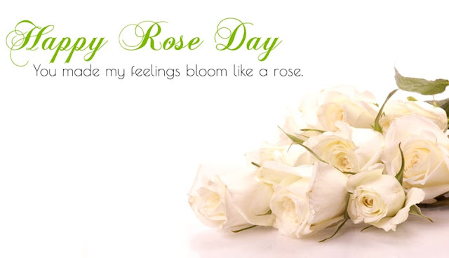 pics of rose day with quotes, rose day images with quotes for husband, images for rose day with quotes, images of happy rose day with quotes, rose day images with quotes for wife, rose day images with love quotes, rose day images with quotes for boyfriend, images of rose day with quotes, happy rose day images with quotes in hindi, rose day images with quotes in hindi, pics of rose day with quotes in hindi, rose day images with quotes download, rose day images with quotes in marathi