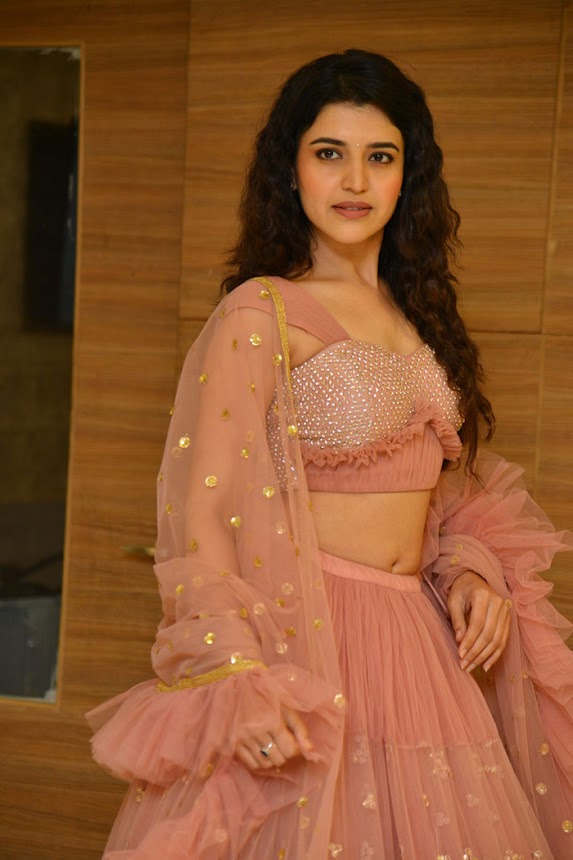 Chitra Shukla at Silly Fellows Pre-Release