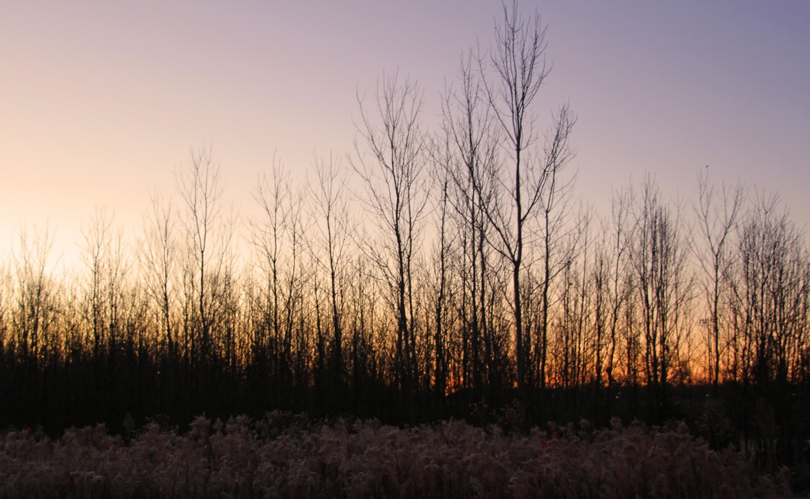 Out and About the Midwest Early Morning Visit to Legacy Park in