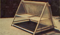 Recetas de la Cocina de Asunción: FAO: 1 Procesamiento de frutas y