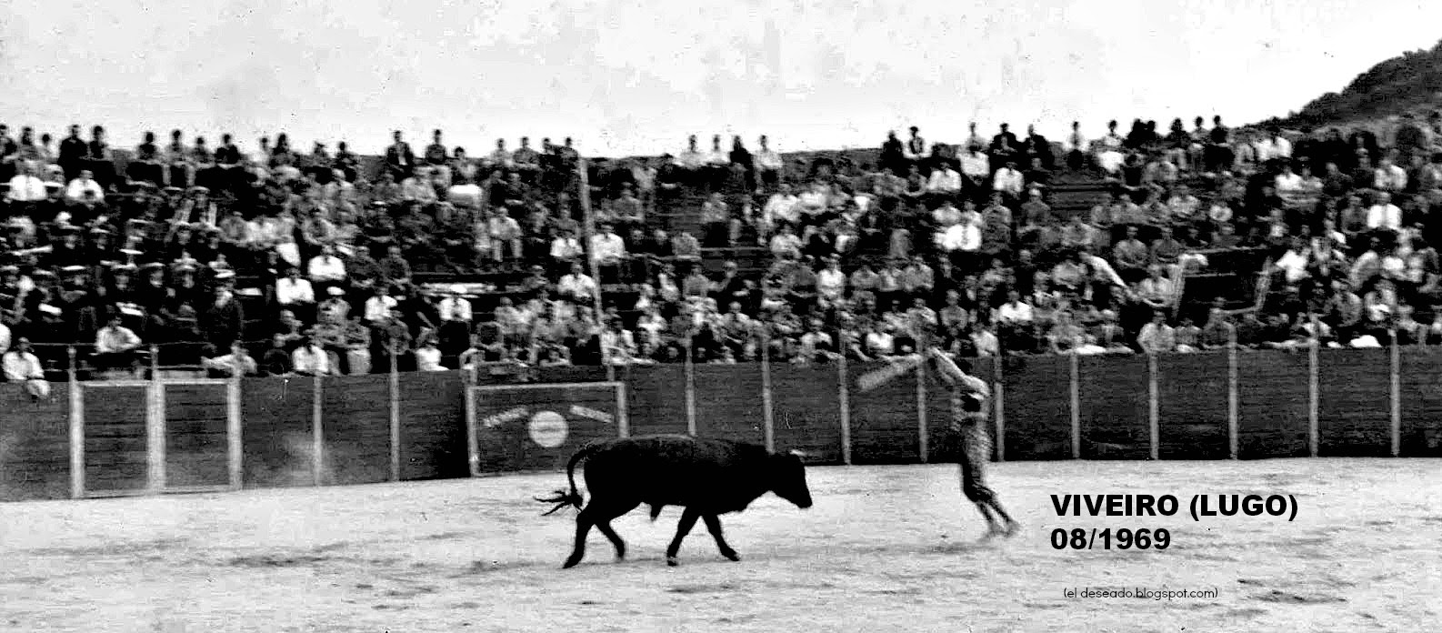 VIVEIRO LUGO TOROS