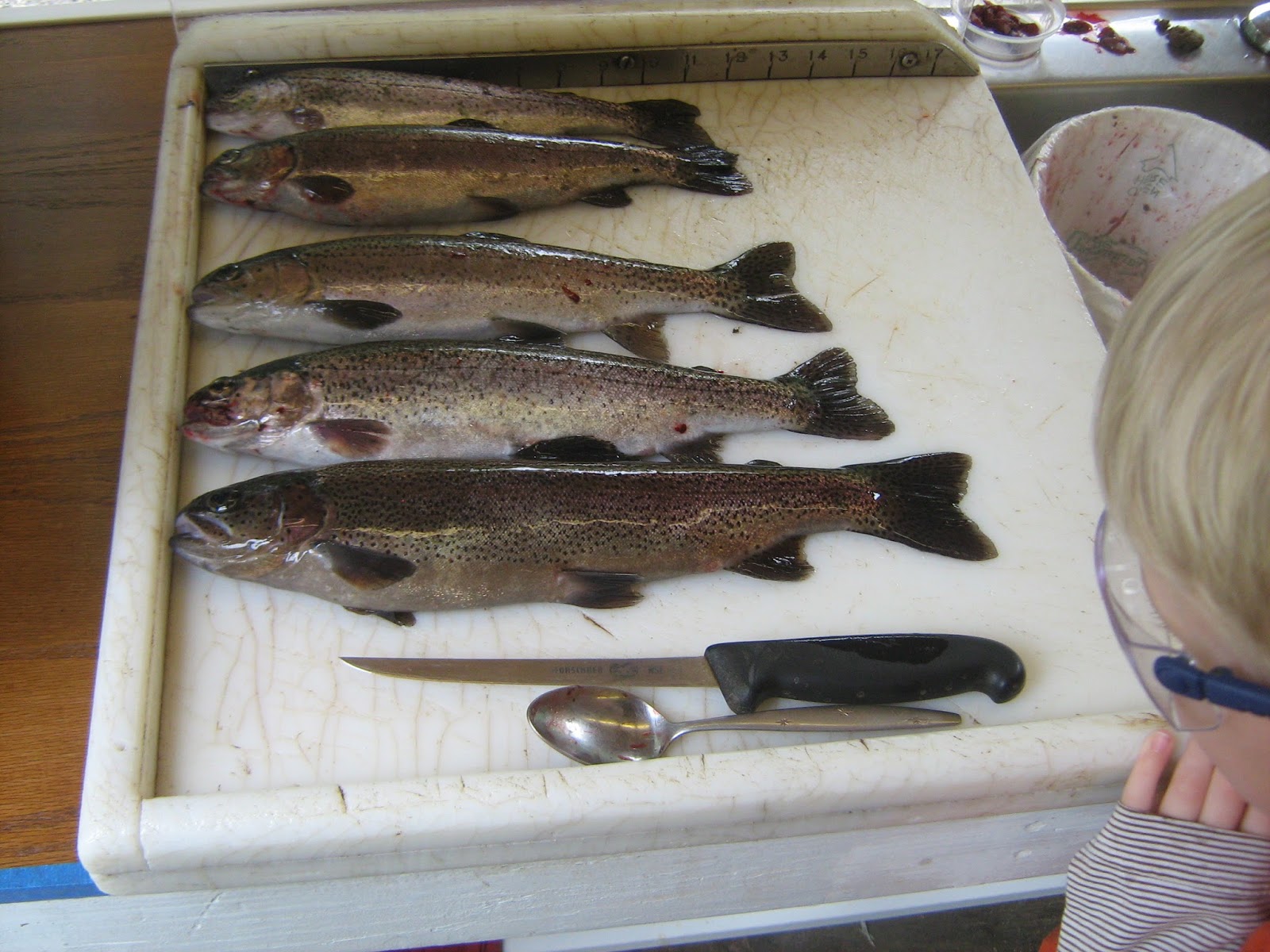 Breaking Rods: Trout Fishing: Guaranteed way of improving the success rate!