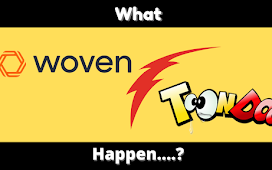 what happend about Toondoo and Woven ? & why did this company takedown ?
