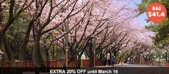 Travel Sale: 5 Best Cherry Blossoms Trips (South Korea) - Travel Bytez