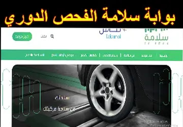 فحص أمني دوري سلامة نت