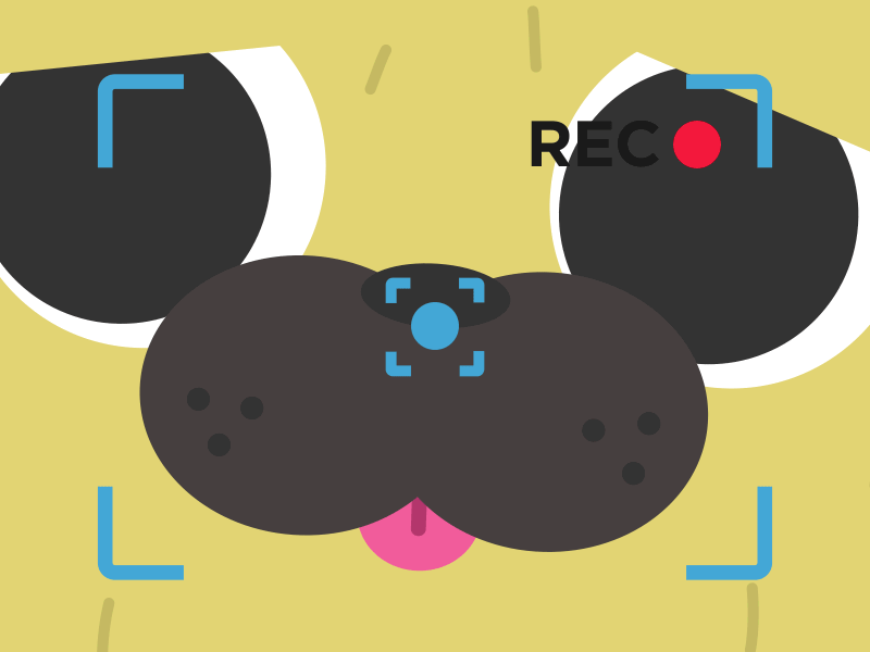 after effects animation