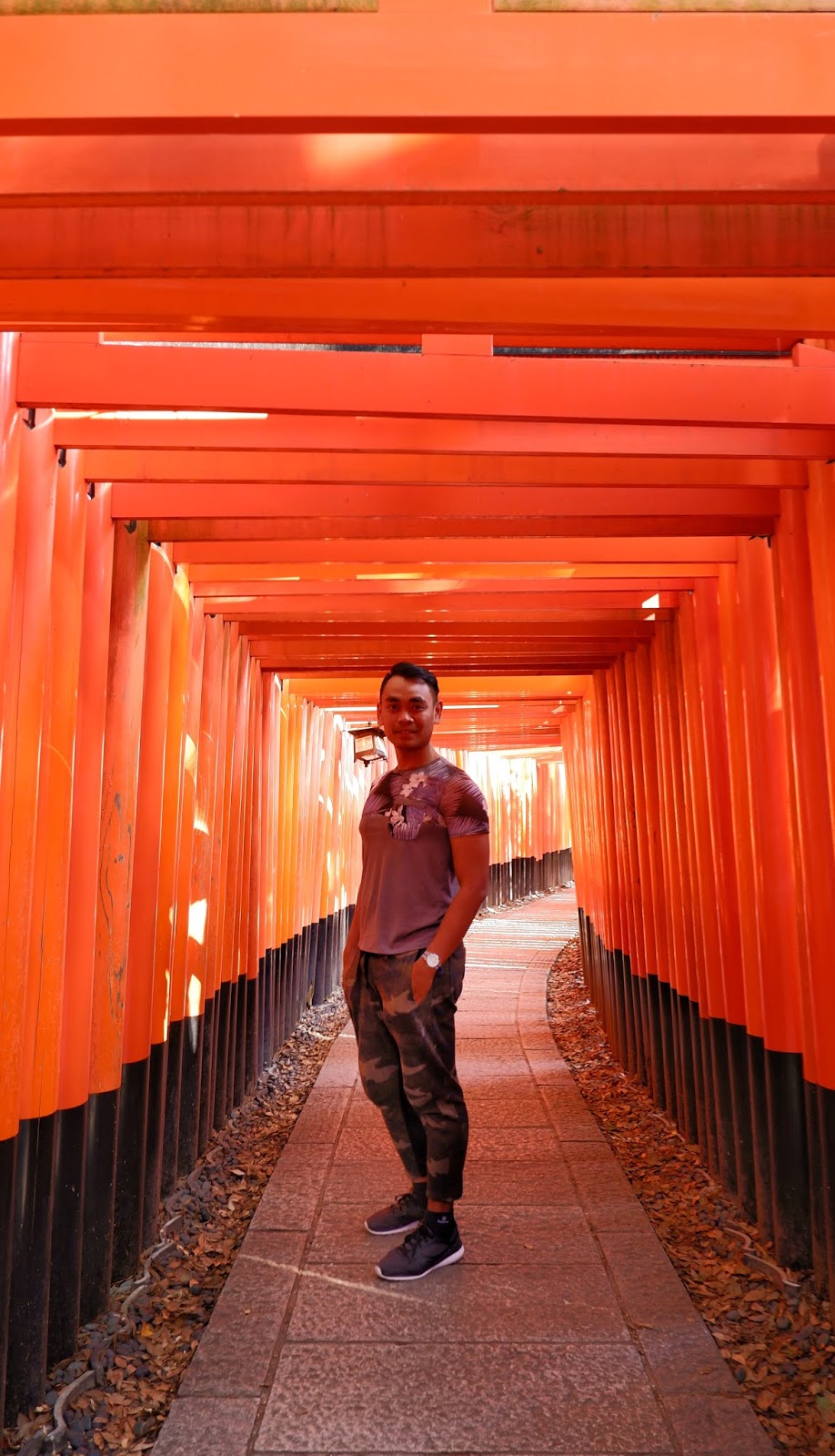 Arashiyama Bamboo Grove + Fushimi Inari Shrine + Osaka Castle