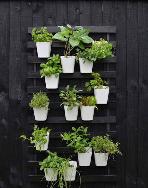 Cómo crear un jardín vertical en la terraza con ideas DIY - Foto 1