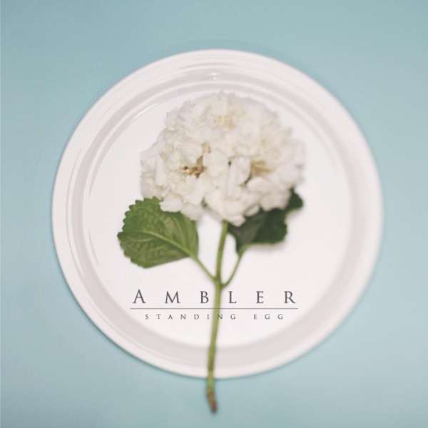 Standing Egg – Ambler