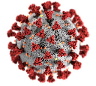 Coronavirus image download