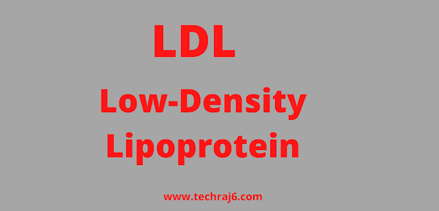 LDL full form, What is the full form of LDL