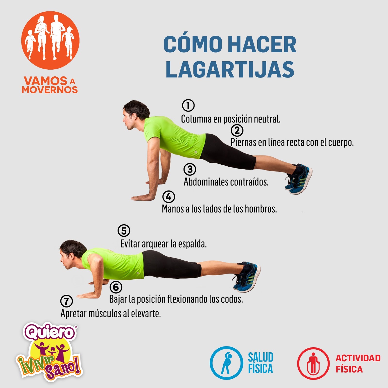 Lista 105+ Foto Las Lagartijas Se Hacen Las Muertas Mirada Tensa