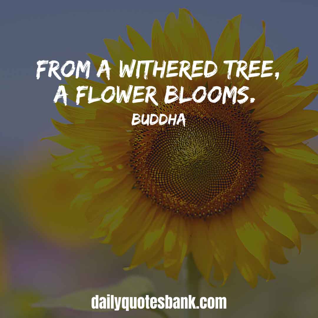 102 Inspirational Quotes About Blooming Flowers, Trees, Love
