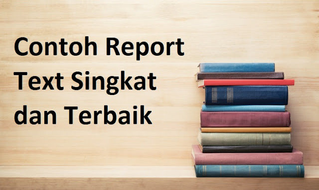 contoh report text singkat tentang benda