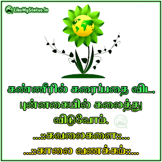 கண்ணீரில் கரைப்பதை விட. புன்னகையில் கலைத்து விடுவோம். ...::கவலைகளை::... ...::காலை வணக்கம்::...